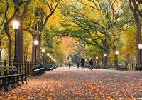 New York City hotels, new york city motels, new york city restaurants, best in each category, nightlife, history, statisitics, facts, maps and more from insiders, for insiders and visitors.